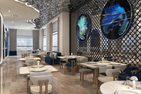 Cenger Blue Collection - 185