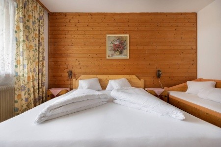 Gasthof Hamberg (Hart Im Zillertal) - 17