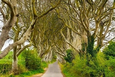 Smaragdová stezka Severním Irskem a Irskem - 8