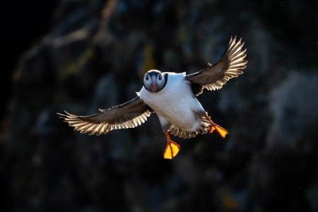 Island s profesionálním fotografem - 4