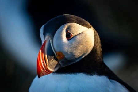 Island s profesionálním fotografem - 5