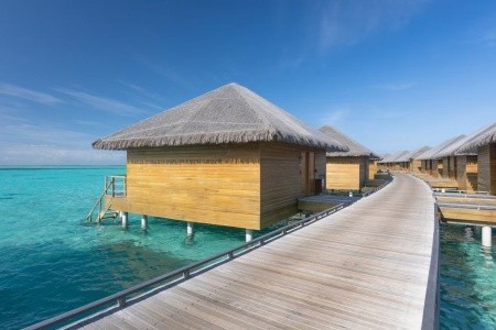 Cocoon Maldives - 50