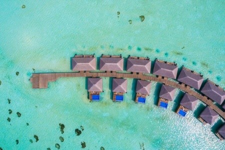 Cocoon Maldives - 57
