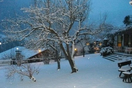 Hotel Villa Emilia*** - 4