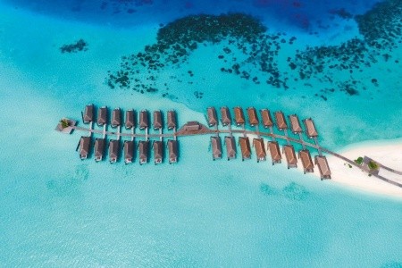 Constance Moofushi - 18