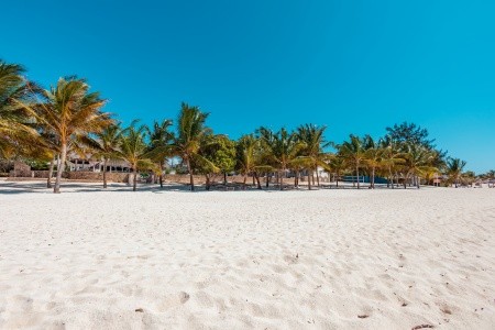 Twiga Beach Resort - 19