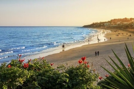 Occidental Jandía Playa - 29