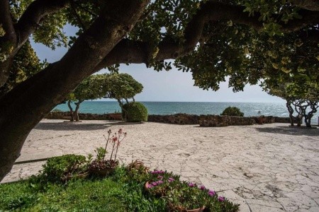 Villa Mg Hotel (Santa Marinella) - 7