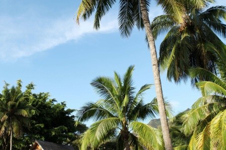 Sofitel Kia Ora Moorea Beach Resort - 51