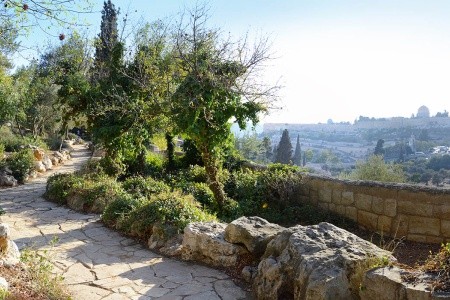 Letecký zájazd do Izraela - 8