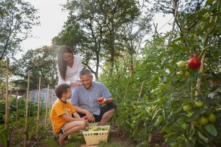 Chorvátsko Istria Aminess Maravea Camping Resort (Mareda) 6 dňový pobyt Bez stravy Vlastná September 2026 (22/09/26-27/09/26)