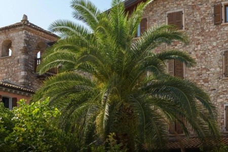 Antico Monastero - 11