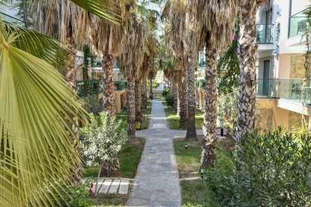 Jasmin Beach (Gümbet) - 32