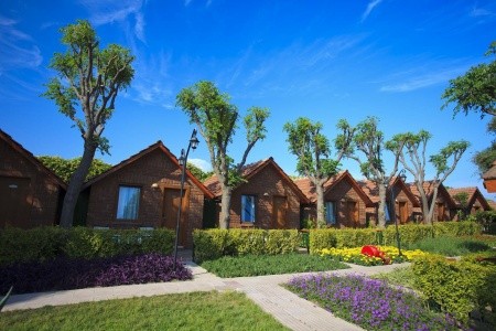 Can Garden Beach - 18