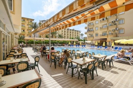 Kleopatra Royal Palm - 10