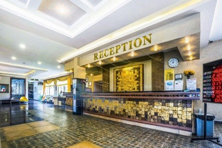 Kleopatra Royal Palm - 19