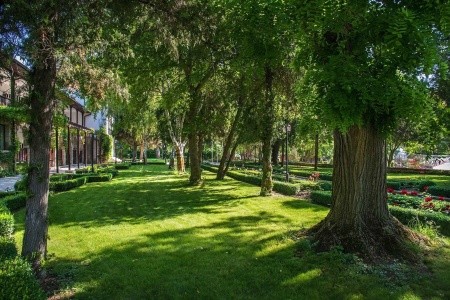 Effect Algara Beach - 70