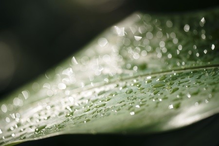 Sandals South Coast - 140