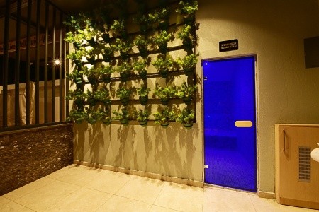 Jasmin Elite Residence - 67