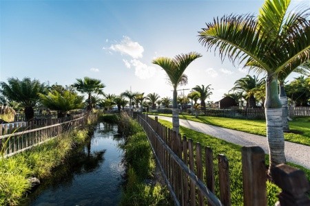 Thb Tropical Island - 12