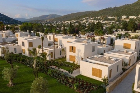 Voyage Torba - 4
