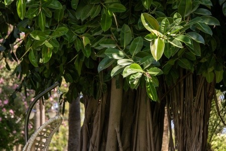 Sailors Beach Club - 43