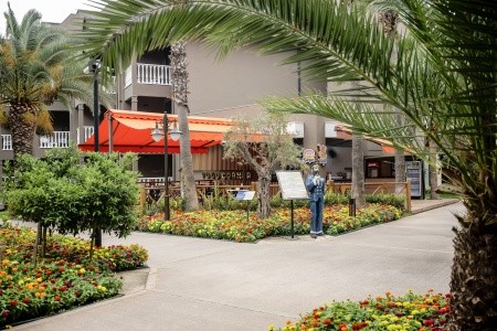 Sailors Beach Club - 76