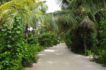 Machchafushi Island Resort & Spa (Ex. Centara Grand Island Resort) - 4