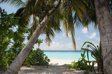 Machchafushi Island Resort & Spa (Ex. Centara Grand Island Resort)