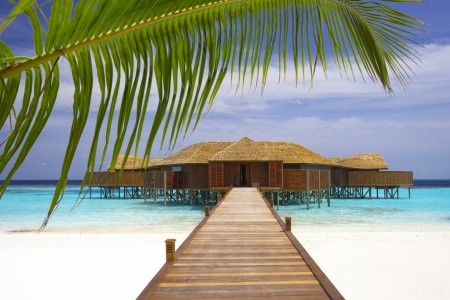Maldivy Atol Ari Lily Beach Resort & Spa 12 dňový pobyt Ultra All inclusive Letecky Letisko: Viedeň June 2026 (21/06/26- 2/07/26)