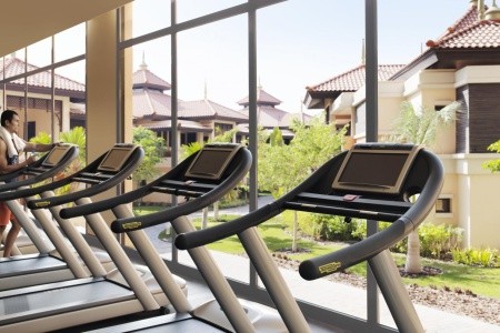 Spojené arabské emiráty Dubaj Anantara Dubai The Palm Resort & Spa 14 dňový pobyt Polpenzia Letecky Letisko: Viedeň June 2025 (16/06/25-29/06/25)
