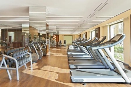 Fairmont The Palm - 14