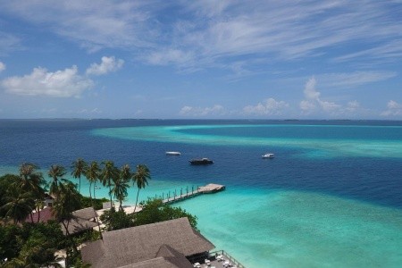 Malahini Kuda Bandos - 2