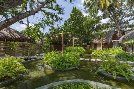 Maldivy Severný Atol Male Malahini Kuda Bandos 14 dňový pobyt Polpenzia Letecky Letisko: Praha April 2026 (12/04/26-25/04/26)