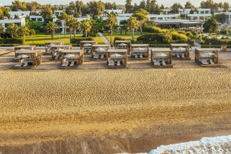 Paloma Finesse - 116