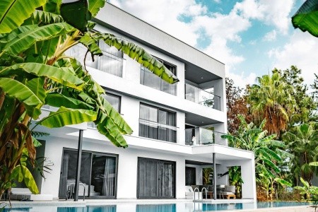 Paloma Finesse - 117