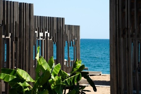 Paloma Finesse - 120