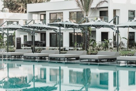 Paloma Finesse - 126