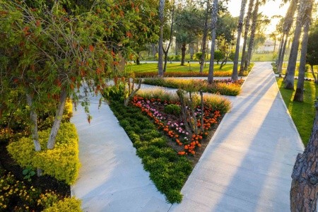 Paloma Orenda Resort - 158