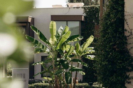 Paloma Orenda Resort - 164