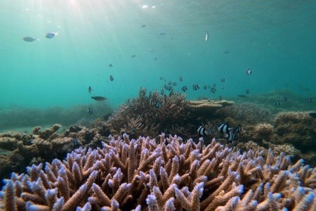 Shanti Maurice Resort & Spa (St Felix) - 24