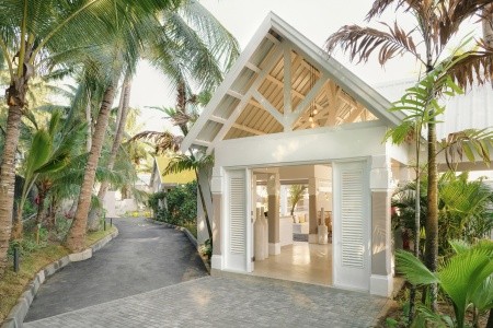 Tropical Attitude - 24