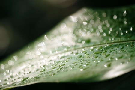 Sandals Montego Bay - 215