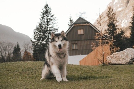 Slovinsko Julské Alpy Residence Soča 6 dňový pobyt Bez stravy Vlastná December 2025 (19/12/25-24/12/25)