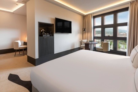 Meliá Bilbao (Bilbao) - 131