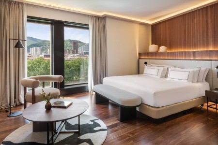 Meliá Bilbao (Bilbao) - 145