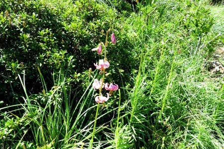 Národní parky Andorry a Pyrenejí - letecky - 10