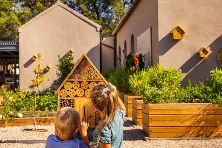 Chorvátsko Hvar Valamar Trim Sunny Apartments 12 dňový pobyt Polpenzia Letecky Letisko: Praha August 2025 (20/08/25-31/08/25)