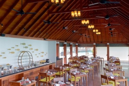 Maldivy Severný Atol Male Summer Island Maldives 14 dňový pobyt Polpenzia Letecky Letisko: Praha February 2026 (11/02/26-24/02/26)