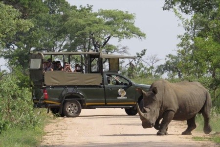 DÉL-AFRIKAI KÖRUTAZÁS FOKVÁROS-SZAFARI-SUN CITY - 2
